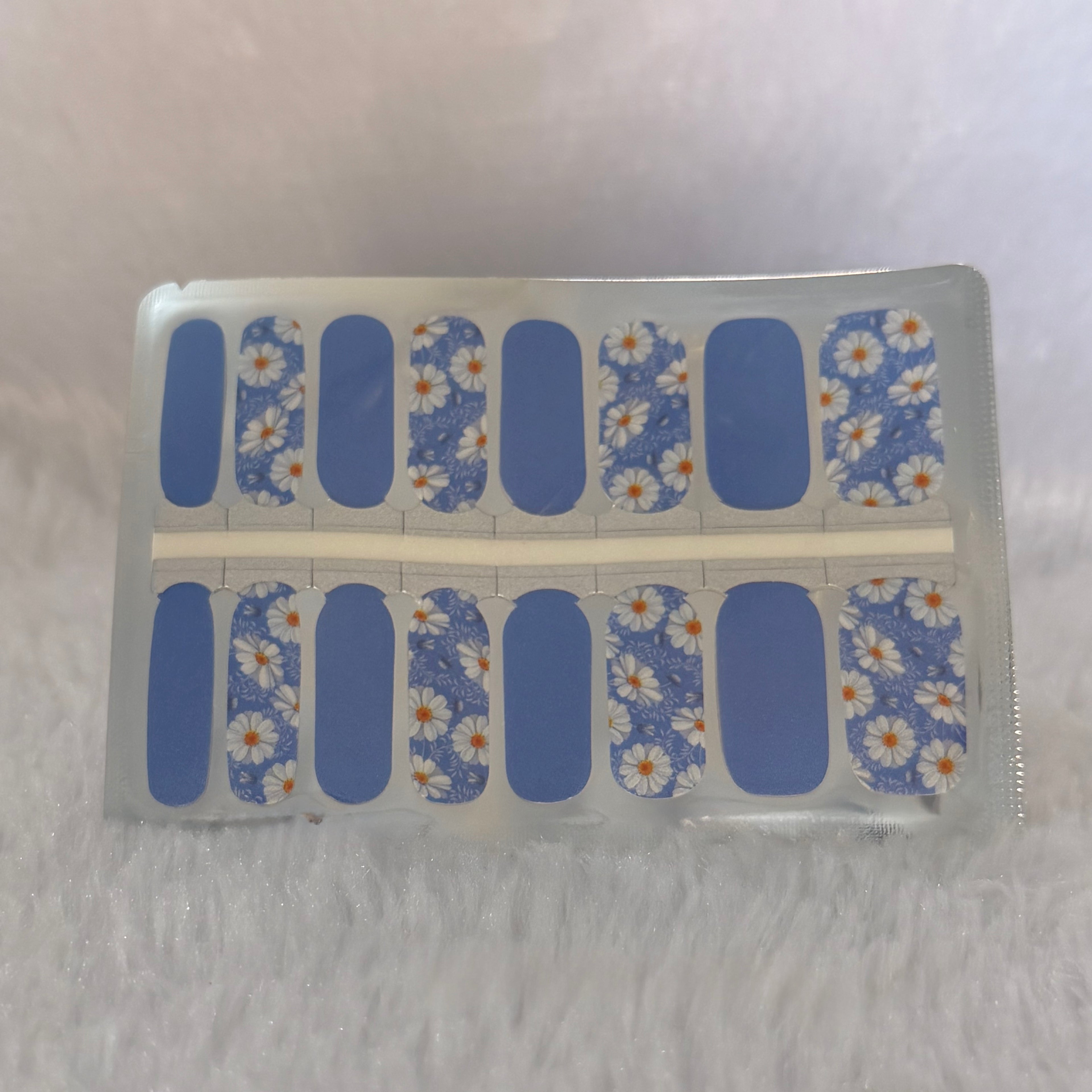 Blue Daisy